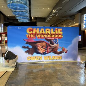 movie premiere backdrop display